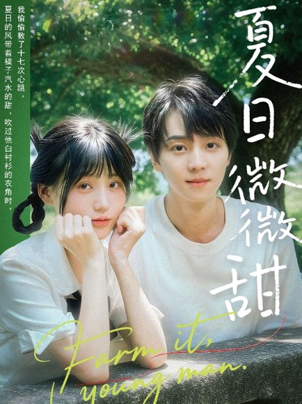 夏日微微甜（79集）苏泽林＆宋澎澎 高清完整版